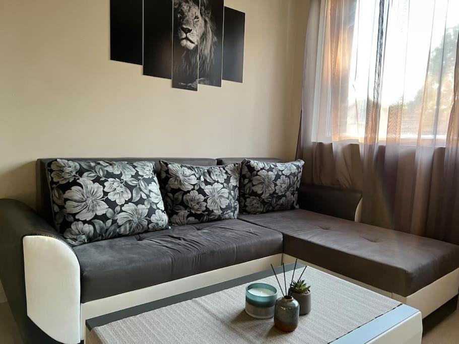 Sof Apartment'S โซเฟีย ภายนอก รูปภาพ